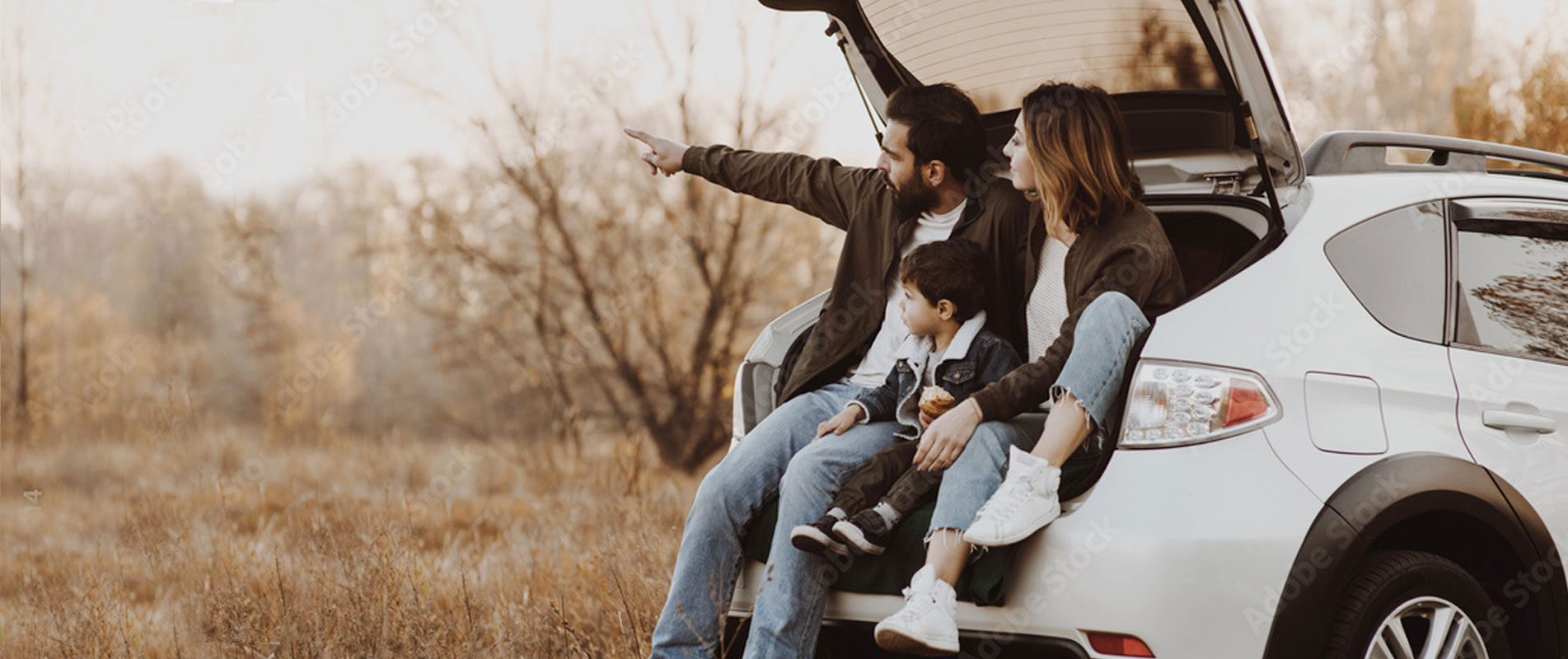 Thinking about a New Car?